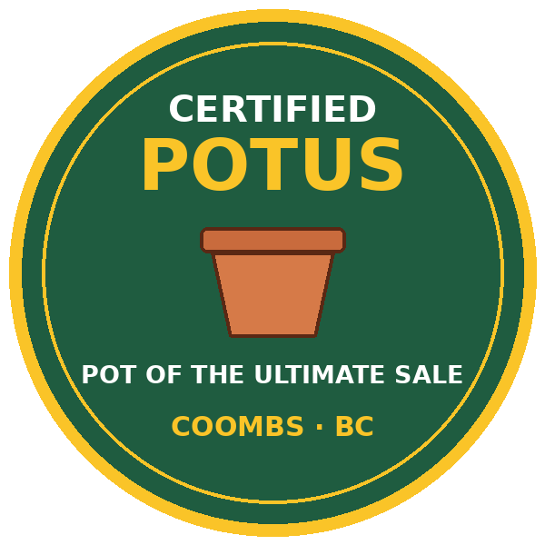 Certified POTUS: Pot of the Ultimate Sale, Coombs BC (SCR joke badge)