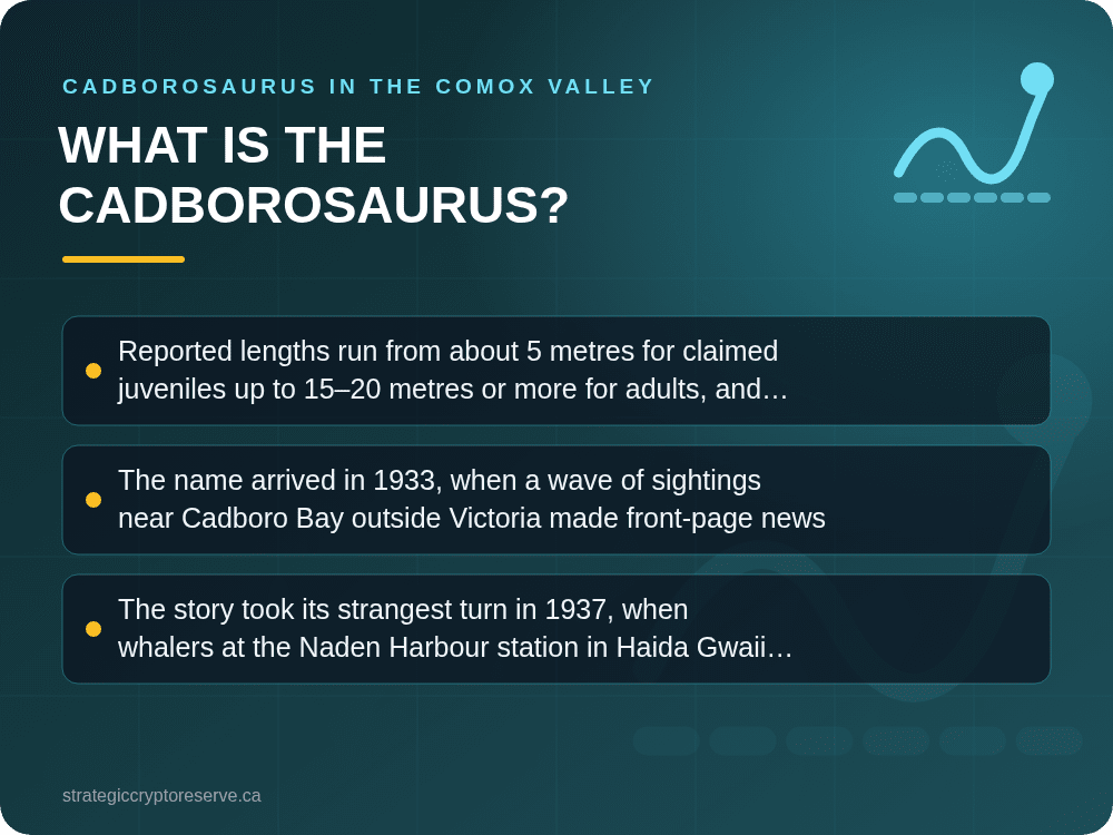 What Is the Cadborosaurus?: key points illustration, Cadborosaurus in the Comox Valley