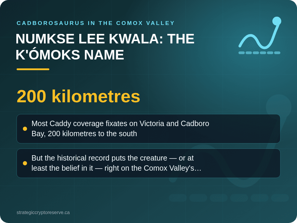 Numkse Lee Kwala: The K'ómoks Name: key points illustration, Cadborosaurus in the Comox Valley