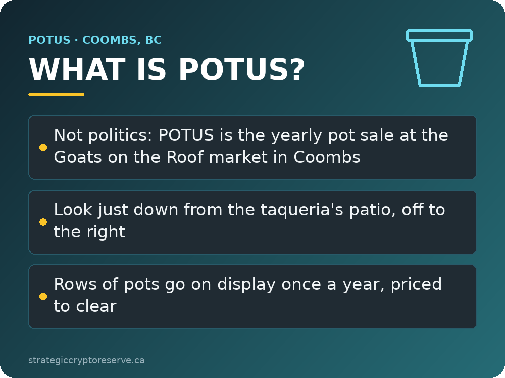 What is POTUS: key points, the yearly pot sale in Coombs