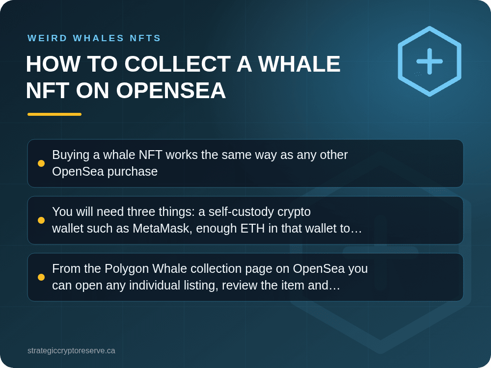 How to Collect a Whale NFT on OpenSea: key points illustration, Weird Whales NFTs