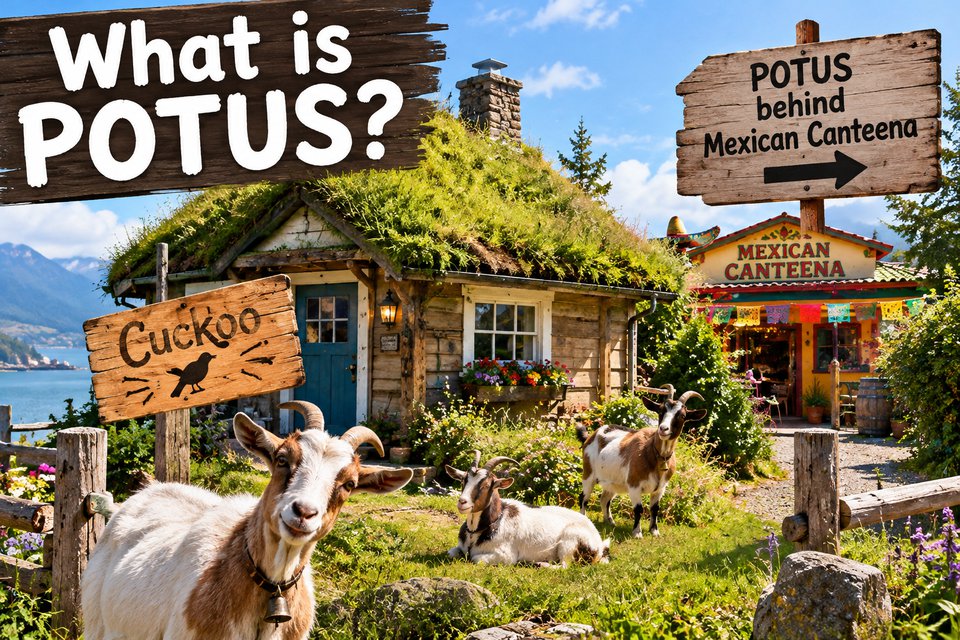 Illustration: What is POTUS? Goats, a sod-roofed shop and the sign to the pot sale in Coombs