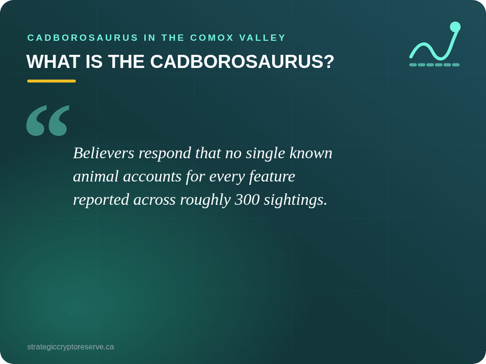 What Is the Cadborosaurus?: Cadborosaurus in the Comox Valley