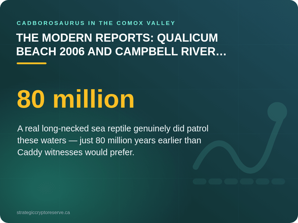The Modern Reports: Qualicum Beach 2006 and Campbell River 2025: Cadborosaurus in the Comox Valley