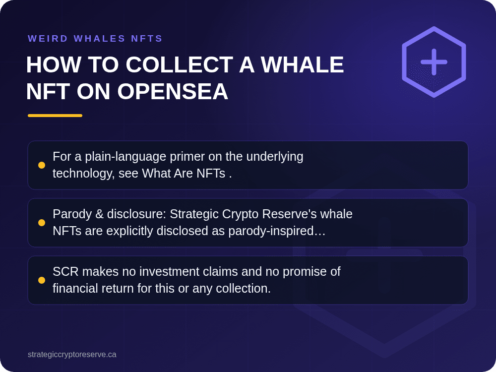 How to Collect a Whale NFT on OpenSea: Weird Whales NFTs